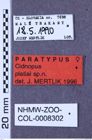 Etiketten zu Cidnopus platiai (Mertlik, 1996) (NHMW-ZOO-COL-0008302)